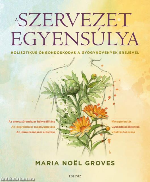 A szervezet egyensúlya