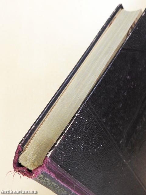 Tolnai uj világlexikona XIII. (töredék)