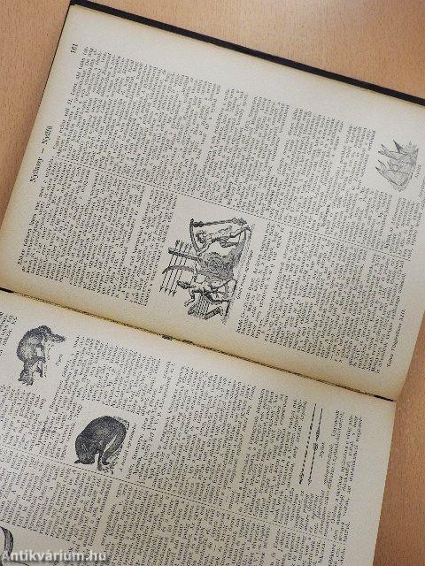 Tolnai uj világlexikona XIII. (töredék)