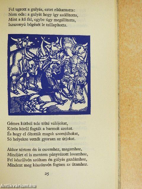 Egy falusi nótáriusnak budai utazása