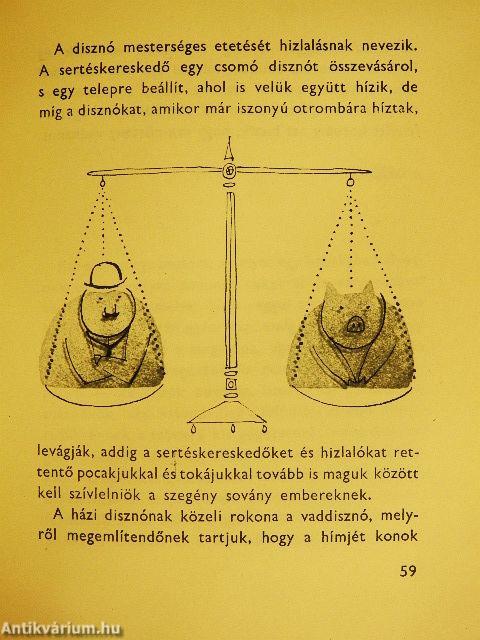 Képtelen természetrajz