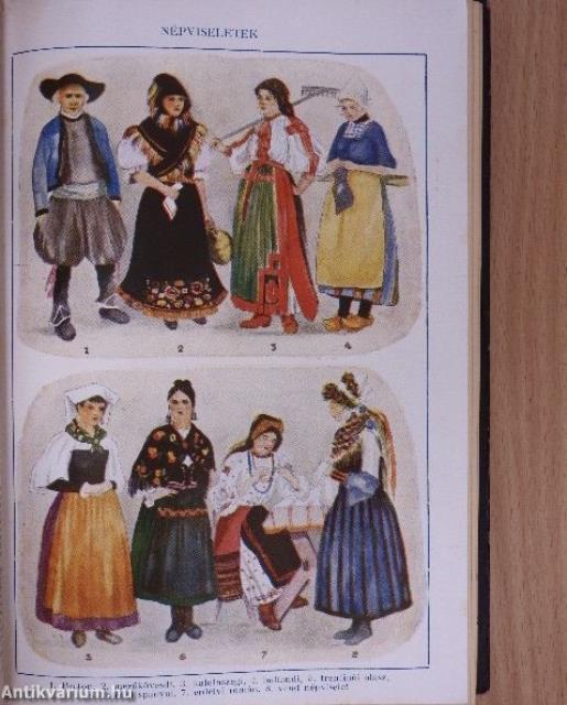 Tolnai uj világlexikona XIII. (töredék)