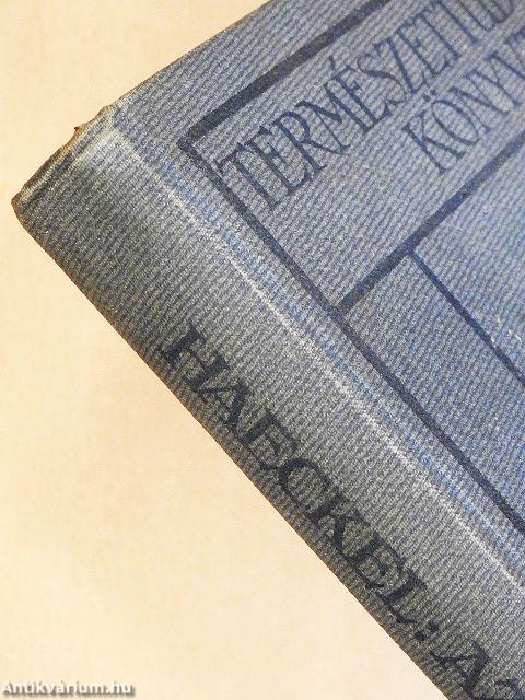 Az élet csodái I-II.