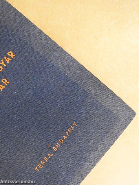 Lengyel-magyar szótár