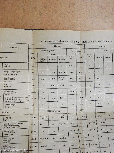 Magyar-lengyel szótár