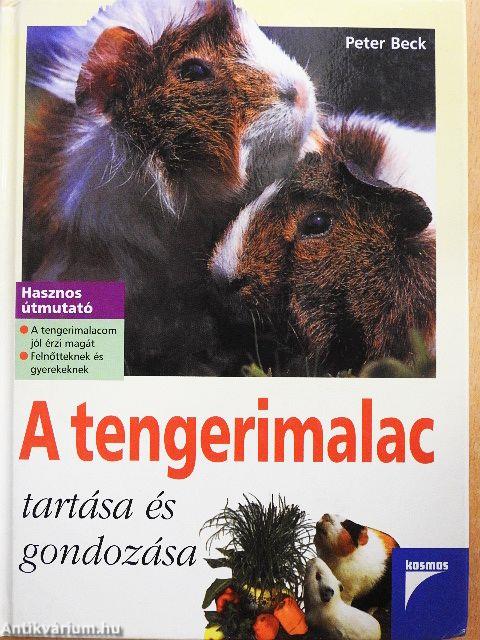 A tengerimalac tartása és gondozása