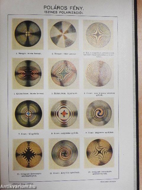 Révai nagy lexikona 15. (töredék)