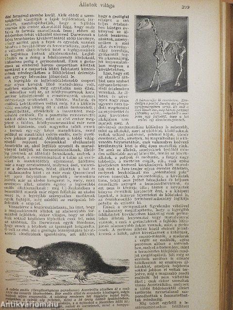 Tolnai Világlexikona I. (töredék)