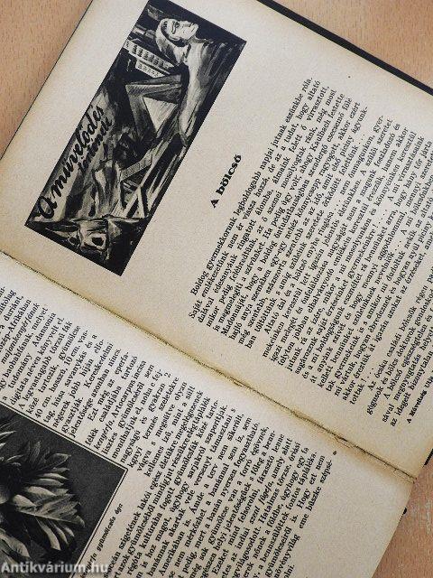 A műveltség útja IV.