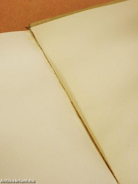 Kúria, kvaterka, kultúra