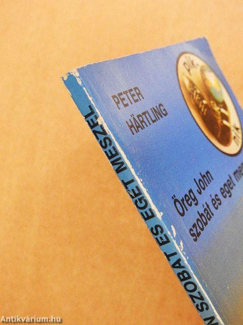 Öreg John szobát és eget meszel