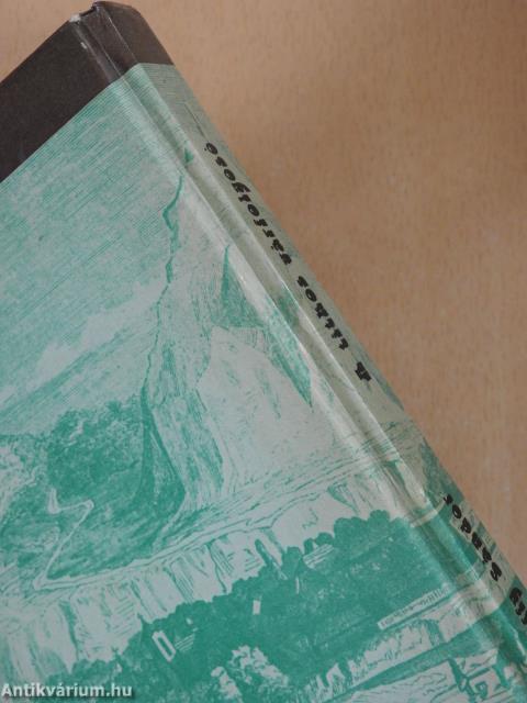 A titkos várfolyosó (dedikált példány)