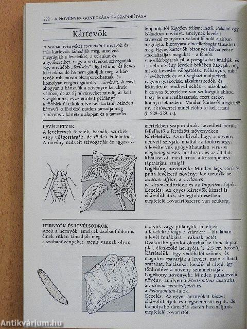 Növények a lakásban