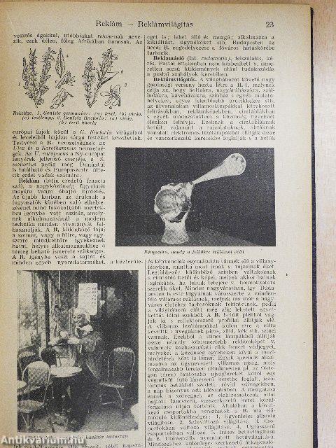 Tolnai uj világlexikona XV. (töredék)