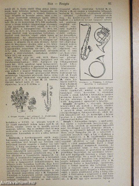 Tolnai uj világlexikona XV. (töredék)