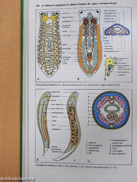 Biológia