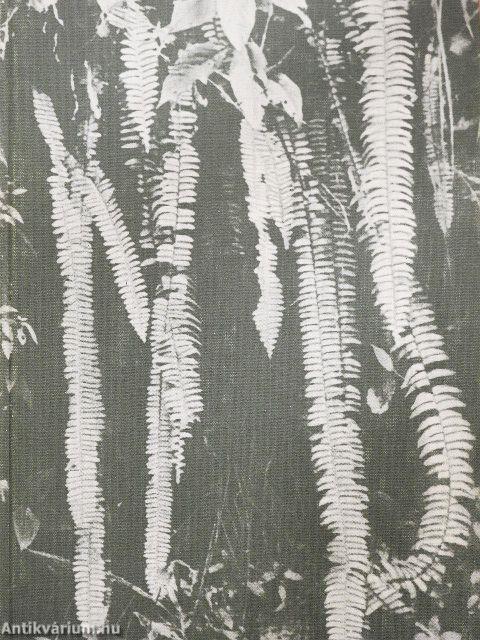 Urania Növényvilág - Magasabbrendű növények I-II.