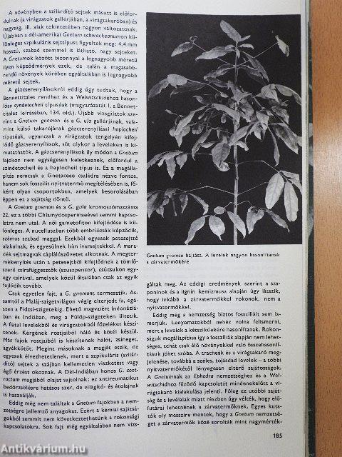 Urania Növényvilág - Magasabbrendű növények I-II.