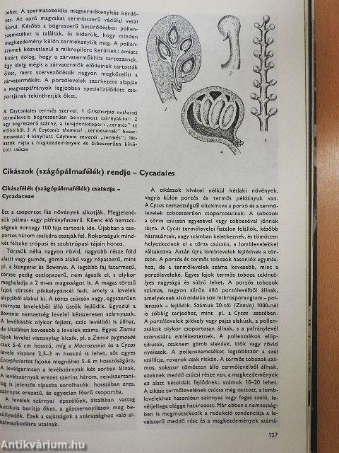 Urania Növényvilág - Magasabbrendű növények I-II.