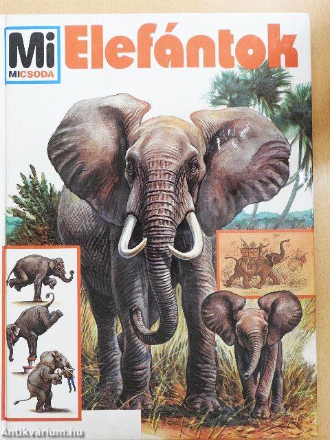 Elefántok