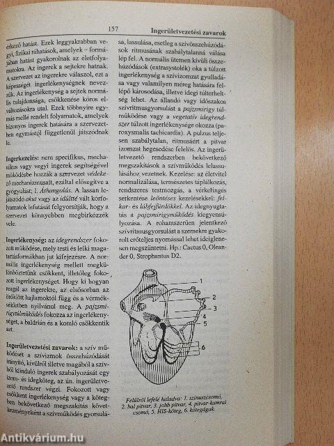 Természetgyógyászati kislexikon