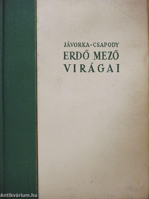 Erdő mező virágai