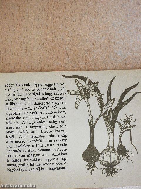 Kis könyv a magyar hagymáról