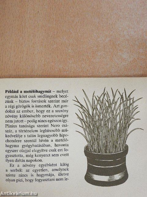 Kis könyv a magyar hagymáról