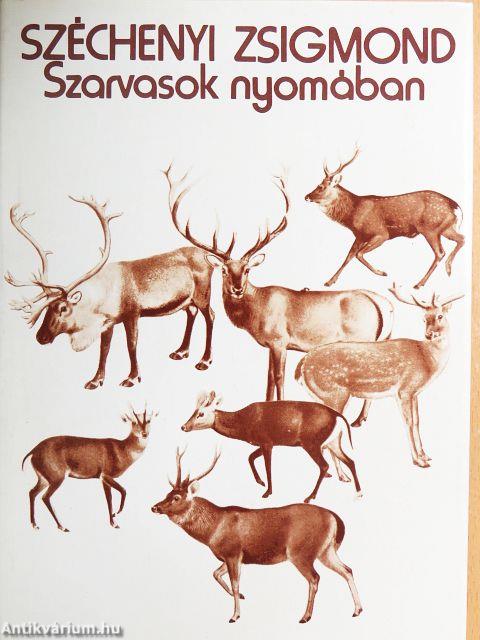 Szarvasok nyomában