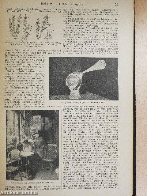 Tolnai uj világlexikona XV. (töredék)