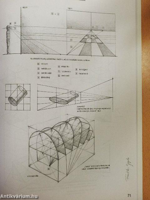 Művészeti anatómia és geometria