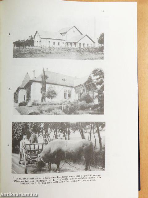 Pest-Pilis-Solt-Kiskun Vármegye I-II.