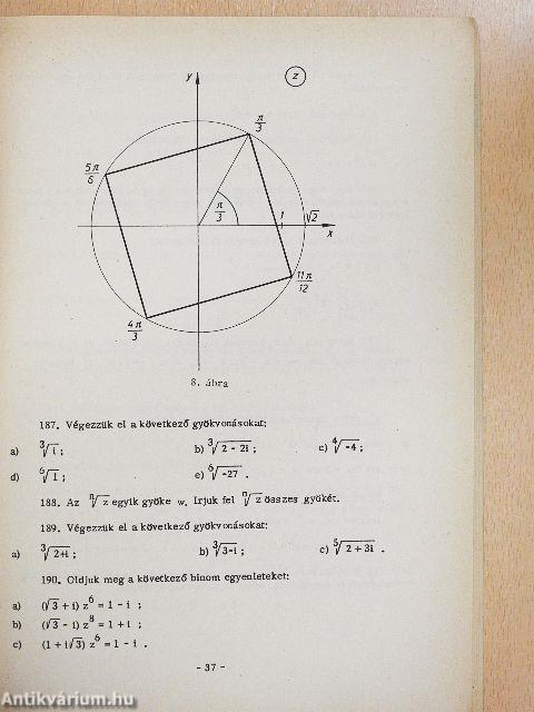 Matematika példatár III.