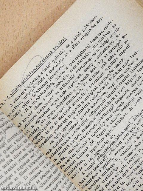 Vállalatgazdaságtan I.