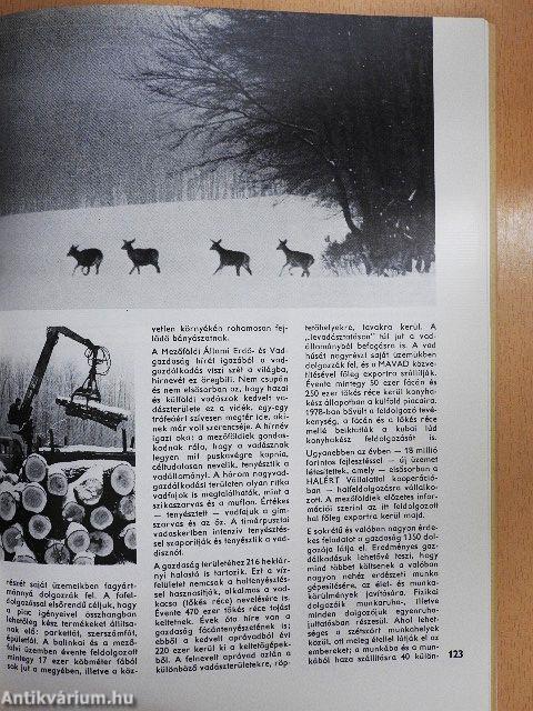 Fejér megye bemutatkozik