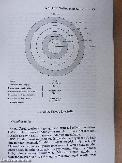 A Működő Szellem rövid története