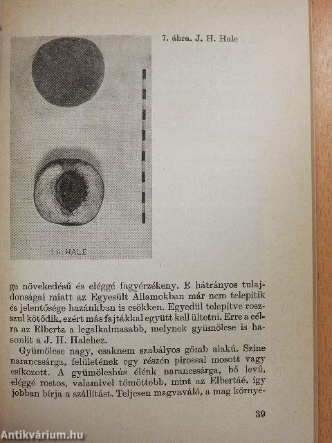 Csonthéjas gyümölcsök házikerti termesztése