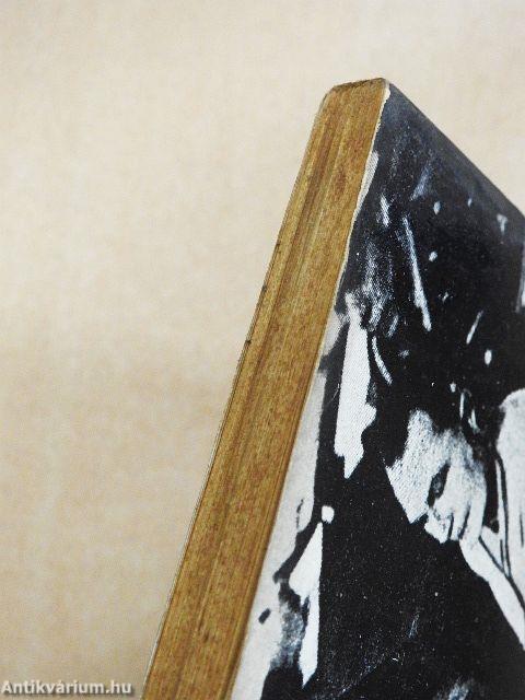 A XX. század bűnpere