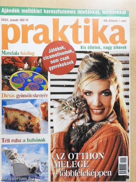 Praktika 2004. január