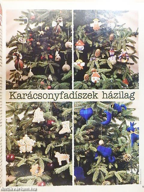 Házi Praktika 1997. december