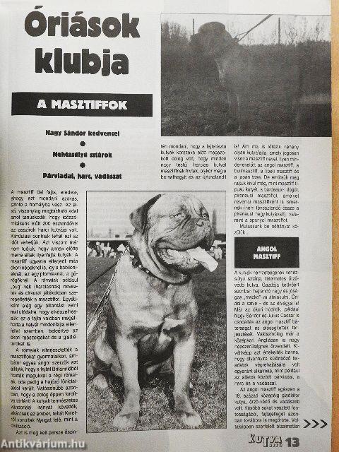 Kutyarevü 1990. június