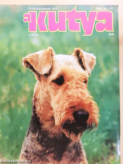 A Kutya 1990. június