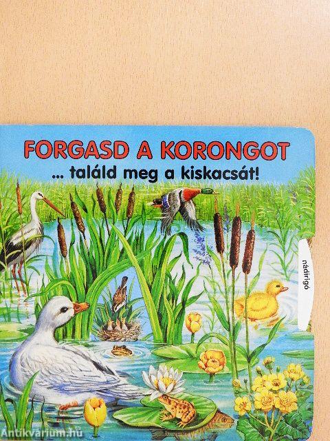 Forgasd a korongot... találd meg a kiskacsát!