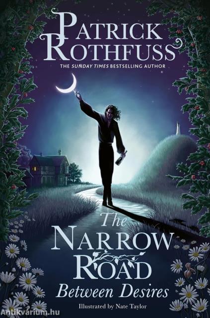 The Narrow Road: Between Desires (Hardback)