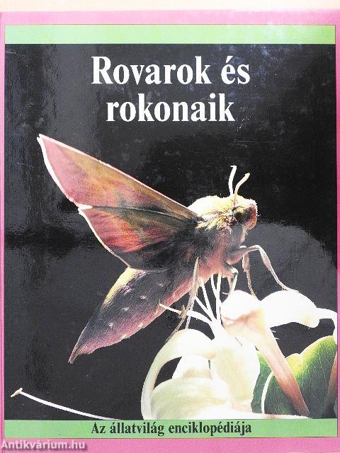 Rovarok és rokonaik