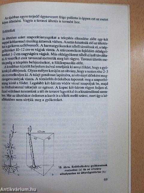 Telepítési kiskáté