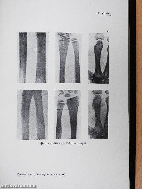 Törvényszéki orvostan I-III.