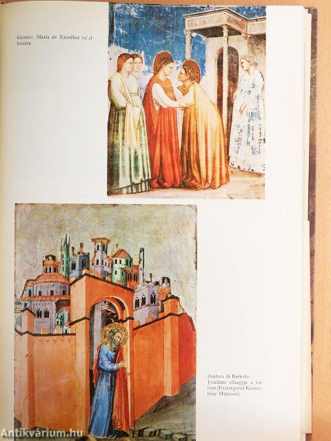 A reneszánsz világa