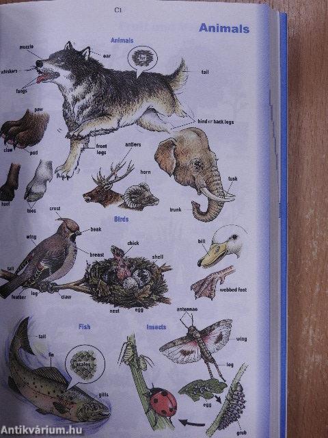 Oxford Wordpower Dictionary