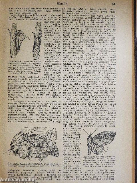 Tolnai uj világlexikona XII. (töredék)